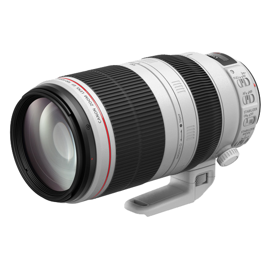 Canon EF100-400mm F4.5-5.6L IS II USM